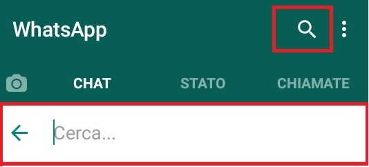 Lo strumento Cerca di WhatsApp: testo, media, documenti, link.